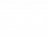 Logo KODA ACADEMY pour illustrer la proposition multifacette de notre formation animalière KODA