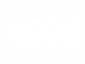Logo KODA ACADEMY pour illustrer la proposition multifacette de notre formation animalière KODA