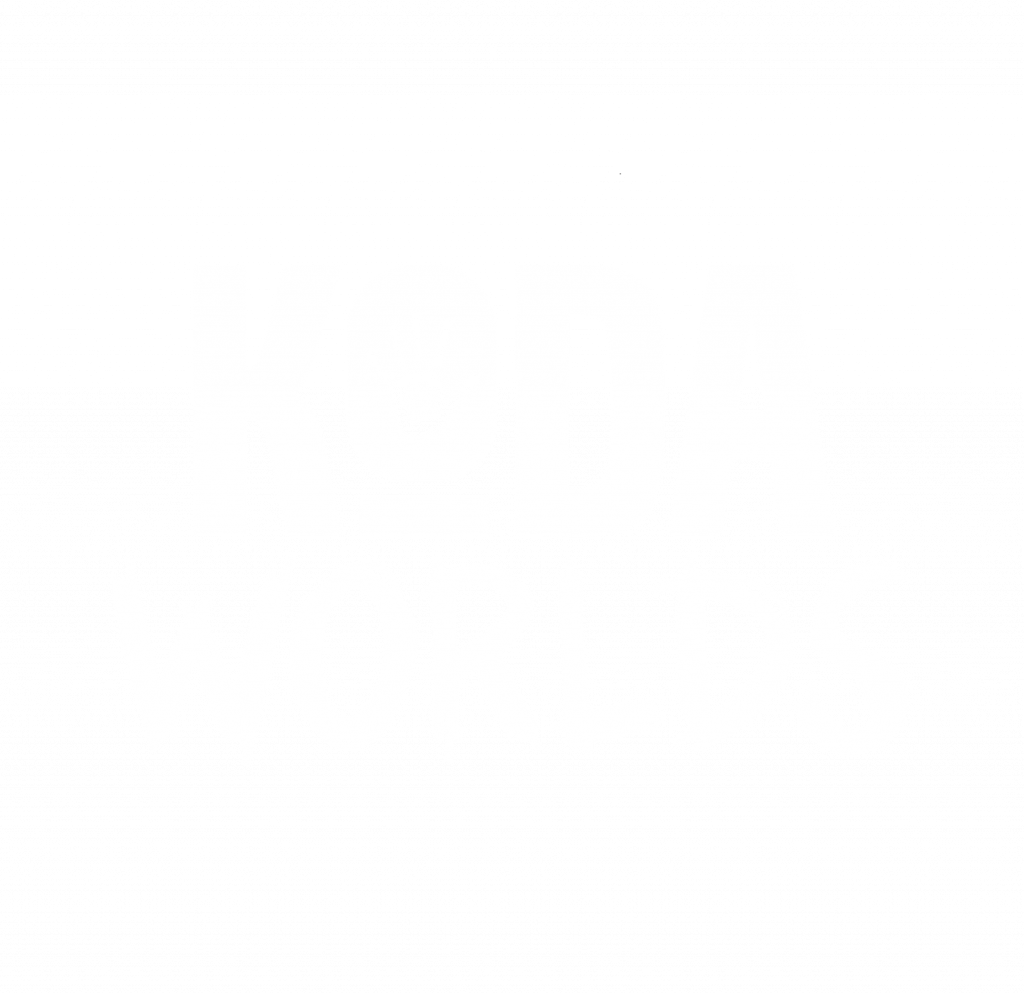 Logo KODA WORLDS pour illustrer la proposition multifacette de notre formation animalière KODA