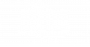 Logo pour formation animalière oiseaux